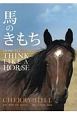 馬のきもち　HOW　TO　THINK　LIKE　A　HORSE