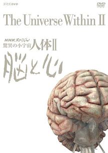 NHKスペシャル　驚異の小宇宙　人体II　脳と心　DVD　BOX　（新価格）