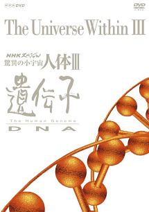NHKスペシャル　驚異の小宇宙　人体III　遺伝子　DVD　BOX　（新価格）