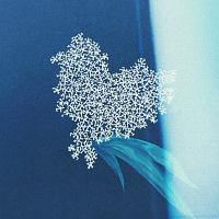 One Piece Best Album ワンピース主題歌集2 Piece ワンピースのcdレンタル 通販 Tsutaya ツタヤ