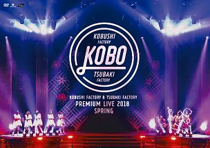 こぶしファクトリー＆つばきファクトリー　プレミアムライブ　2018春　“KOBO”