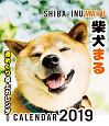 柴犬まる週めくり卓上カレンダー　2019