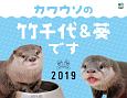 カワウソの竹千代＆葵です　カレンダー　2019