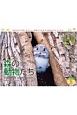 太田達也セレクション　森の動物たち　Tiny　Story　in　the　Forests　カレンダー