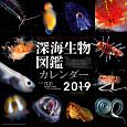 深海生物図鑑カレンダー　2019