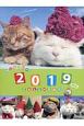 かご猫壁掛けカレンダー　2019