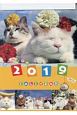 かご猫卓上カレンダー　2019