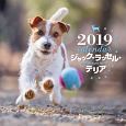 大判カレンダー　ジャック・ラッセル・テリア　2019