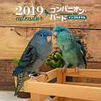 大判カレンダー　コンパニオンバード　インコ＆オウム　2019