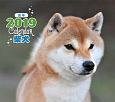 ミニカレンダー　柴犬　2019