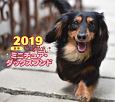 ミニカレンダー　ミニチュア・ダックスフンド　2019
