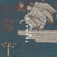 Flamingo/TEENAGE RIOT(ティーンエイジ盤)