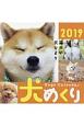 犬めくりカレンダー　2019