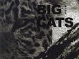 BIG　CATS