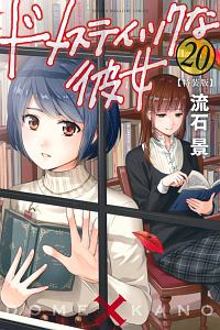 ドメスティックな彼女<特装版>（20）