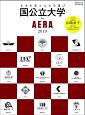 国公立大学　by　AERA　2019