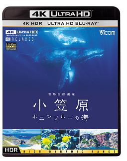 ビコム　4K　Relaxes（リラクシーズ）　世界自然遺産　小笠原　〜ボニンブルーの海〜