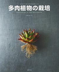 多肉植物の栽培