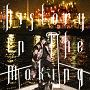 History　In　The　Making（B）(DVD付)