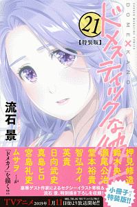 ドメスティックな彼女<特装版> 小冊子付き（21）