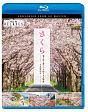 ビコム　Relaxes（リラクシーズ）　さくら　春を彩る　華やかな桜のある風景　4K撮影作品
