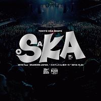 ２０１８　Ｔｏｕｒ　「ＳＫＡＮＫＩＮＧ　ＪＡＰＡＮ」　“スカフェス　ｉｎ　城ホール”　２０１８．１２．２４