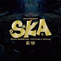 ２０１８　Ｔｏｕｒ　「ＳＫＡＮＫＩＮＧ　ＪＡＰＡＮ」　“スカフェス　ｉｎ　城ホール”　２０１８．１２．２４（ＢＤ付）