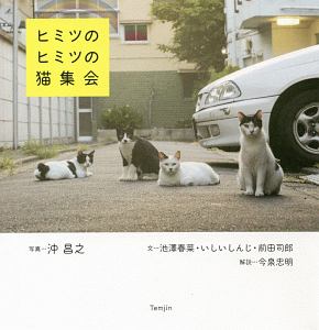 ヒミツのヒミツの猫集会
