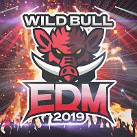 Ｗｉｌｄ　Ｂｕｌｌ　ＥＤＭ　２０１９