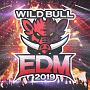 Wild　Bull　EDM　2019
