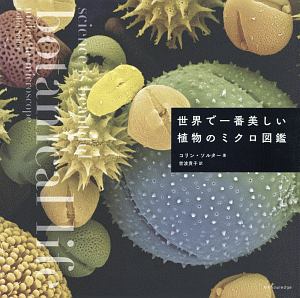 ブラック ジャック 青き未来 中山昌亮の漫画 コミック Tsutaya ツタヤ