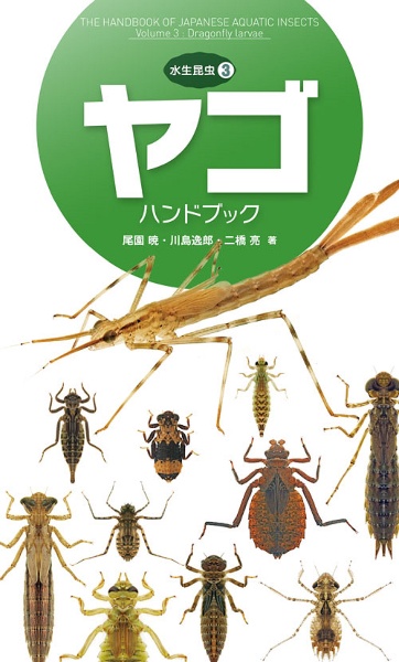 ヤゴハンドブック 水生昆虫3/尾園暁 本・漫画やDVD・CD・ゲーム