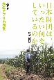 日本財団は、いったい何をしているのか　新生アフリカ農業(5)