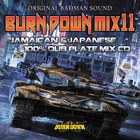 ＢＵＲＮ　ＤＯＷＮ　ＭＩＸ　１１