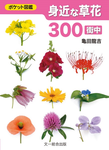 身近な草花３００〈街中〉