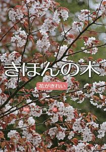 3652 伊坂幸太郎エッセイ集 伊坂幸太郎の小説 Tsutaya ツタヤ