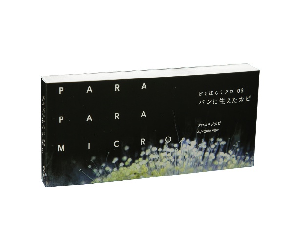 異世界ガーデニング アルの造園物語 乾物屋の小説 Tsutaya ツタヤ