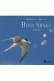 BIRD　SONGS　海辺の鳥