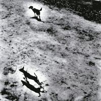 betcover!! サンダーボルトチェンソー/high school!! ep Amazon.co.jp: high school !! ep.: ミュージック