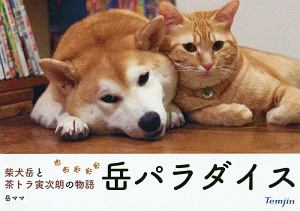 まこという名の不思議顔の猫 11年目のまこである 前田敬子の本 情報誌 Tsutaya ツタヤ