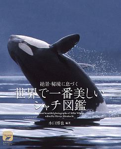 世界で一番美しい シャチ図鑑 水口博也 本 漫画やdvd Cd ゲーム アニメをtポイントで通販 Tsutaya オンラインショッピング