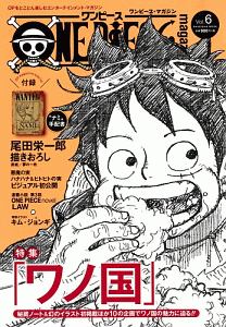 ＯＮＥ　ＰＩＥＣＥ　ｍａｇａｚｉｎｅ