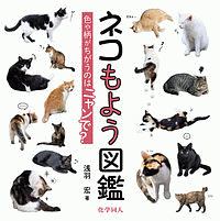 ネコもよう図鑑