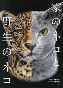 世界で一番美しい猫の図鑑 タムシン ピッケラルの本 情報誌 Tsutaya ツタヤ