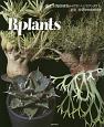 ビザールプランツ　灌木系塊根植物からアガベ、ビカクシダまで、夏型珍奇植物最新情報