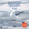 もふもふふわふわ　シマエナガ　カレンダー　2020