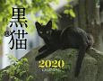 黒猫カレンダー　壁掛け　2020