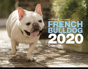 ＦＲＥＮＣＨ　ＢＵＬＬＤＯＧカレンダー　壁掛け　２０２０