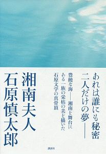 その鏡は嘘をつく 薬丸岳の小説 Tsutaya ツタヤ