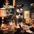 大判カレンダー　ミニチュア・シュナウザー　2020